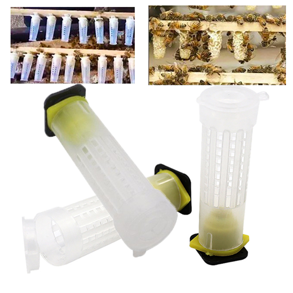 10PCS Queen cage insects tools beekeeping queen plastic cells bees box cages bees tool abelhas apiculture equipement protection