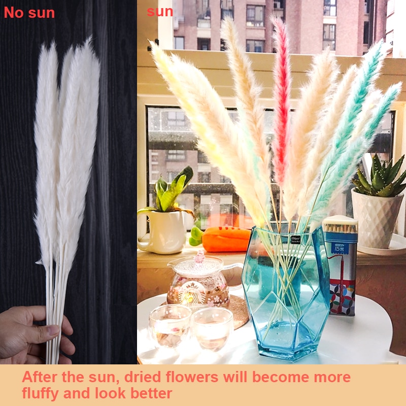 7Pcs Bulrush Natural Dried Small Pampas Grass Phragmites Artificial Plants Wedding Flower Bunch for Home Decor Fake Flowers